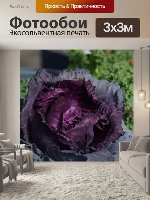 Фотообои Природа