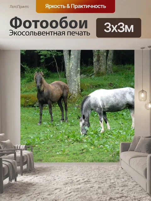 Фотообои Лошадь