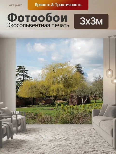 Фотообои Дерево ивы