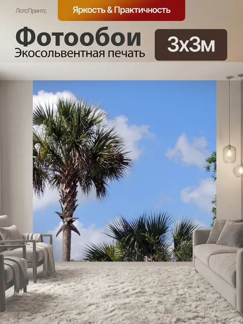 Фотообои пальма с неба