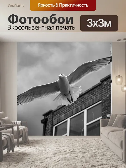 Фотообои Чайки в море