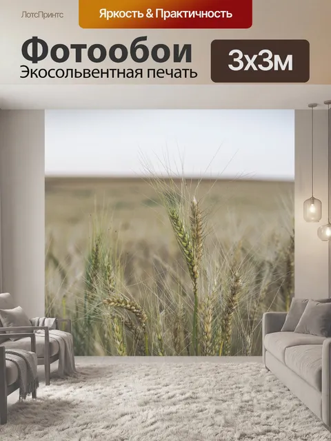 Фотообои Пшеница