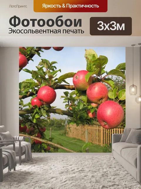 Фотообои Яблоня