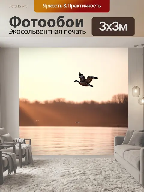 Фотообои утро с неожиданным светом, где дикие гуси взлетают в небо над озером, омытым ранним солнечным светом