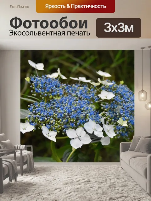 Фотообои Гортензия синий
