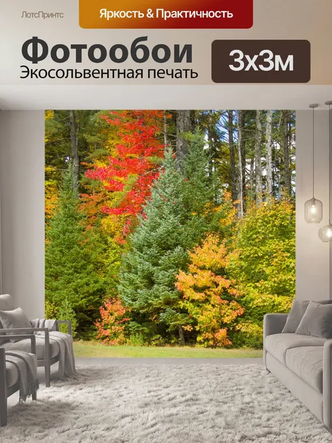 Фотообои Осенние деревья