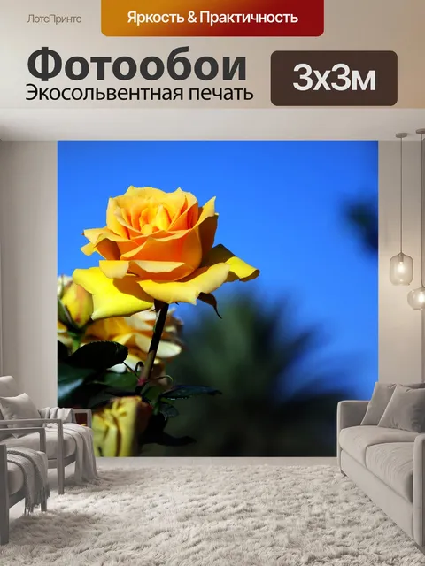 Фотообои Желтая роза