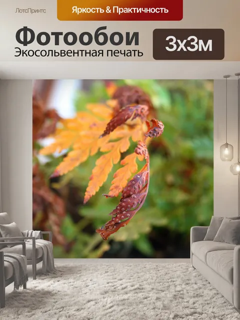 Фотообои сухой папоротник листьев спорами