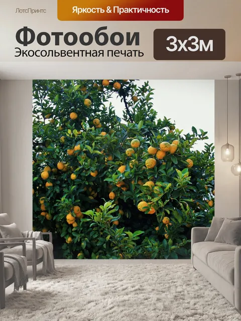 Фотообои лимонное дерево, приносящее плод