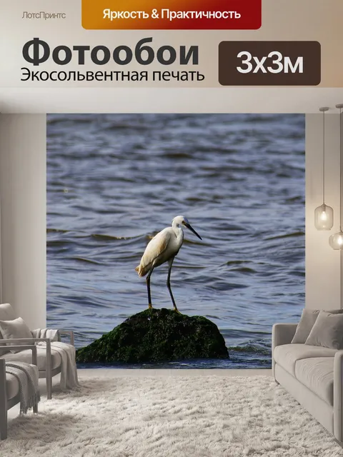 Фотообои Животное