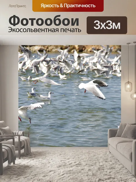 Фотообои Чайки едят на пруду с рыбой