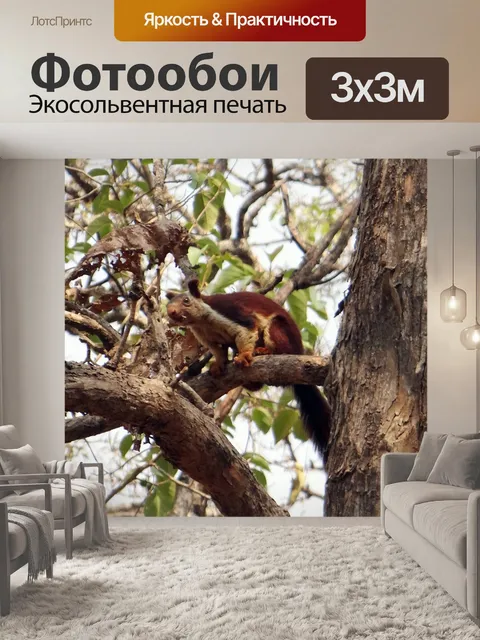 Фотообои Малабар гигантские белки