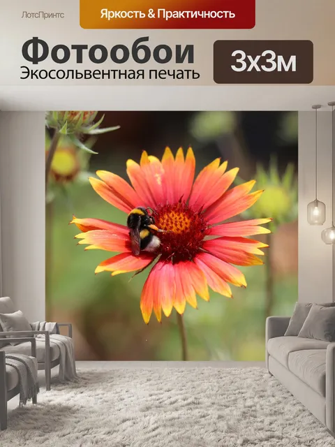 Фотообои Огненное колесо