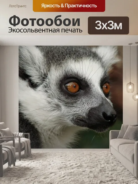 Фотообои Лемур Мадагаскар
