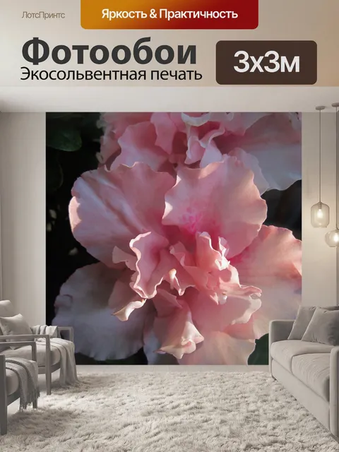 Фотообои Мягкая розовая камелия