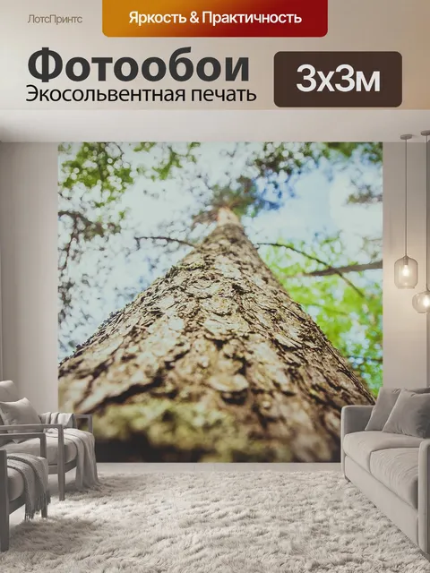 Фотообои Дерево