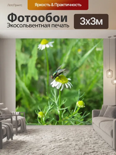 Фотообои Природа