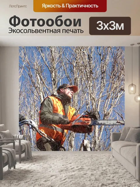 Фотообои Спил