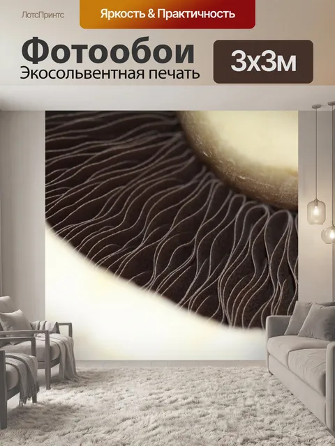 Фотообои Гриб