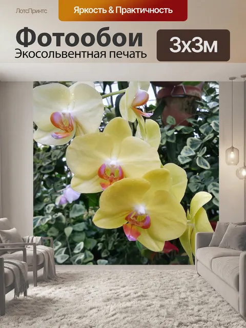 Фотообои Орхидея