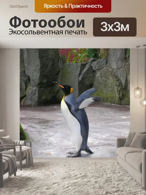 Фотообои Пингвин