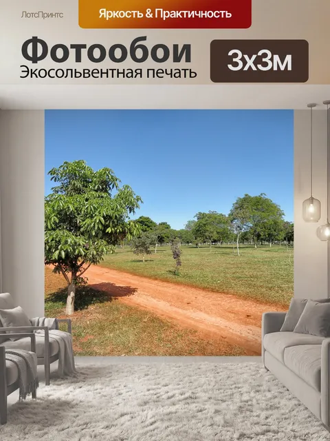 Фотообои Бразилиа