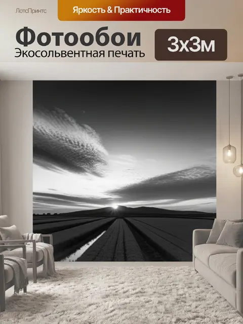 Фотообои пейзаж с закатом фото чернобелый
