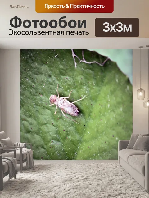 Фотообои стрекоза черви