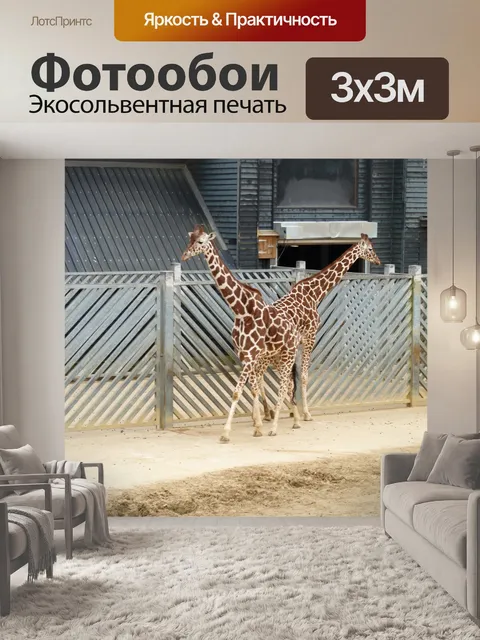 Фотообои Жираф в двухместном