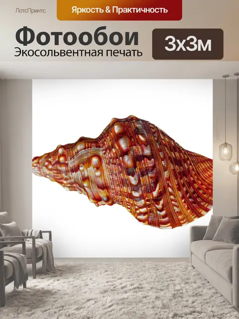 Фотообои Улитка ракушка дом винтаж
