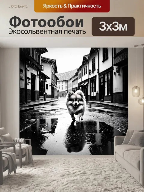 Фотообои мягкий дождь капает на улицы старого города, а померанский шпиц бежит по лужам, оставляя следы