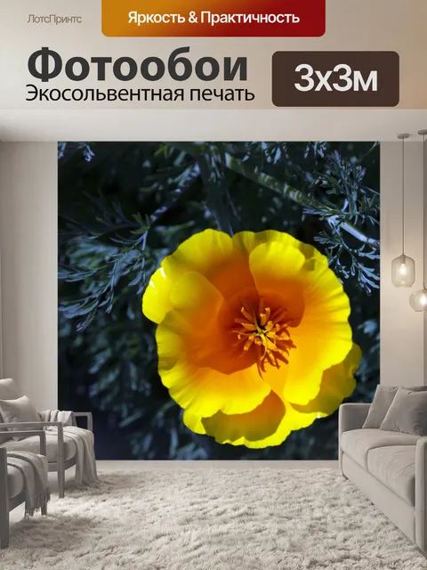 Фотообои мак