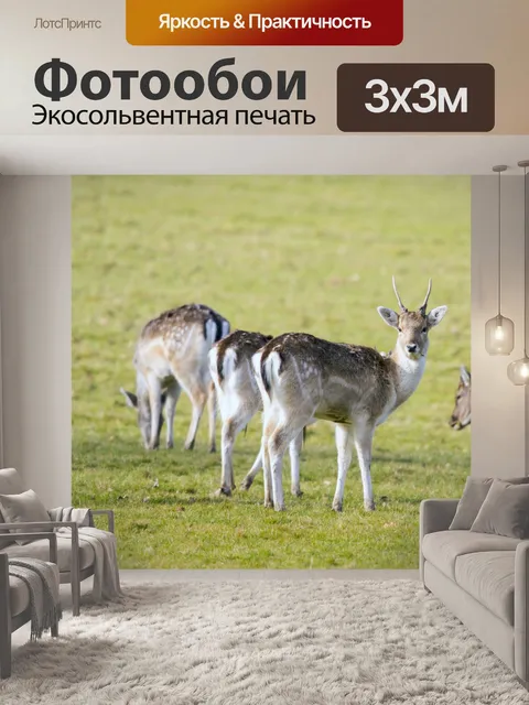 Фотообои олень