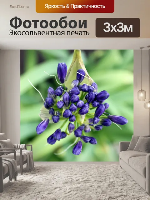 Фотообои фиолетовый цветок весны