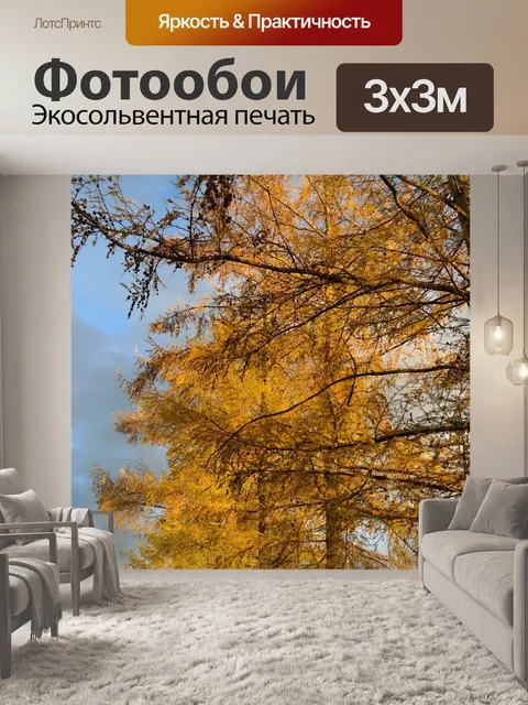 Фотообои Европейская лиственница