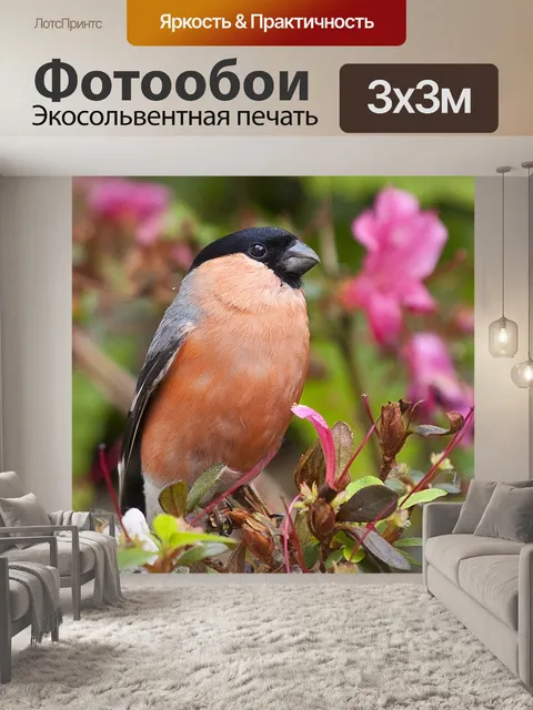 Фотообои Снегирь
