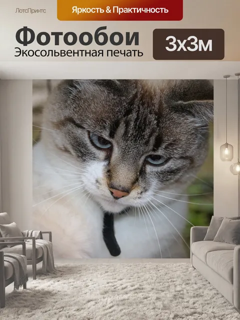 Фотообои Животное