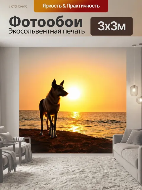 Фотообои овчарка на фоне заката у моря, с золотистыми лучами солнца, отражающимися на воде