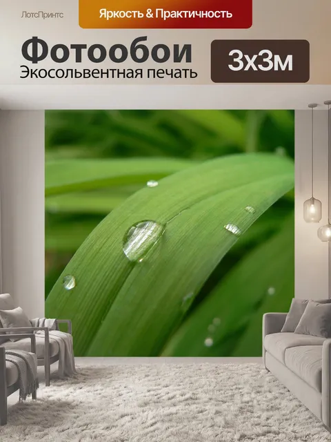 Фотообои Растительный