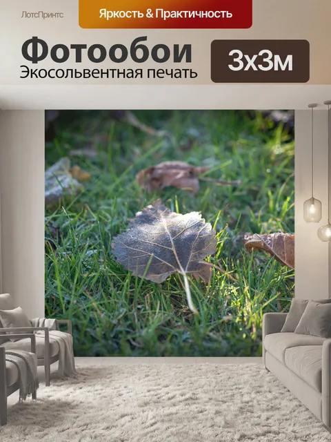 Фотообои Листья