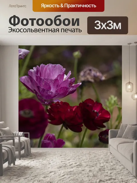 Фотообои Крупным планом Лютик Цветы