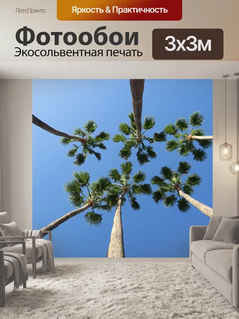 Фотообои Пальмы