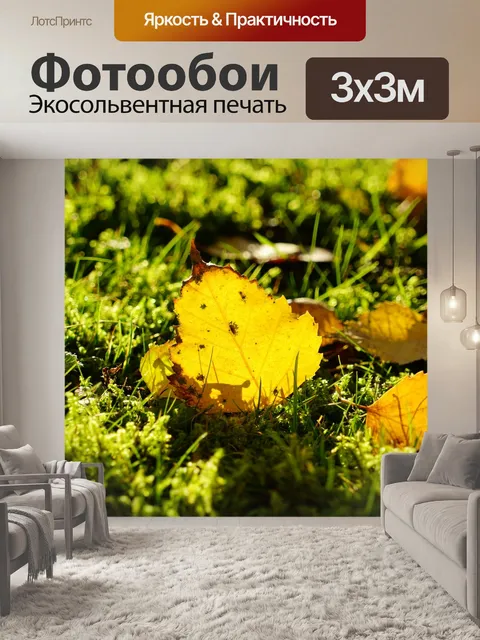 Фотообои Лист березы