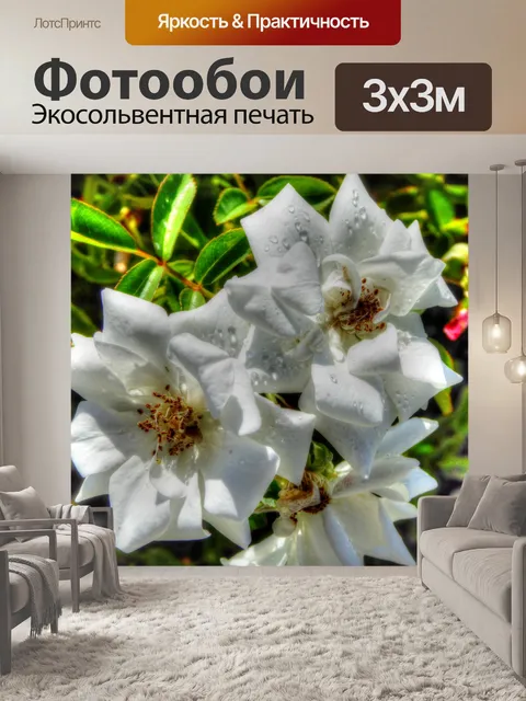 Фотообои Розовые капли на белых цветках
