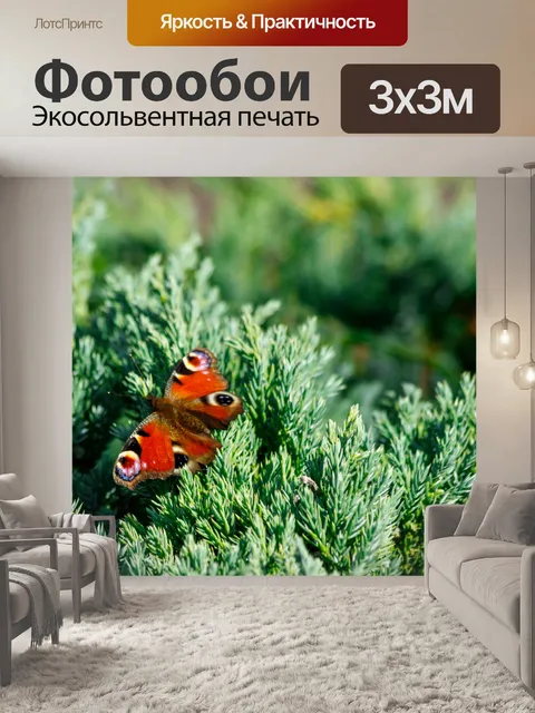 Фотообои Садовая бабочка