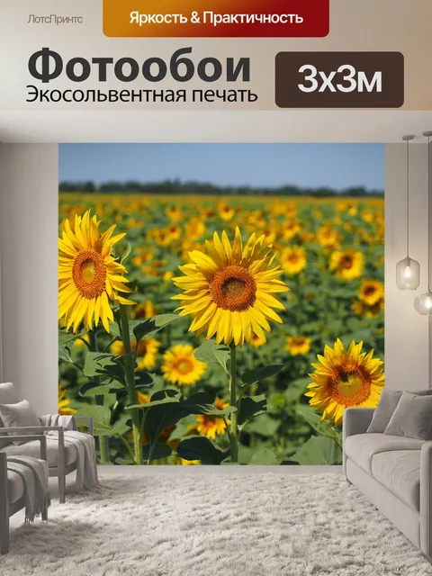 Фотообои Подсолнухи