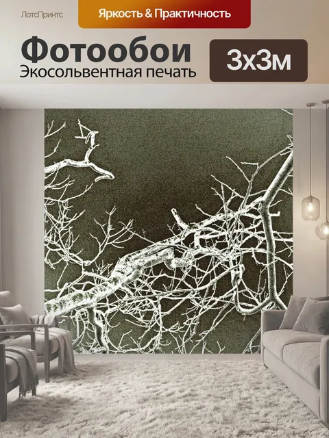Фотообои ветки филиалы высокий ключ