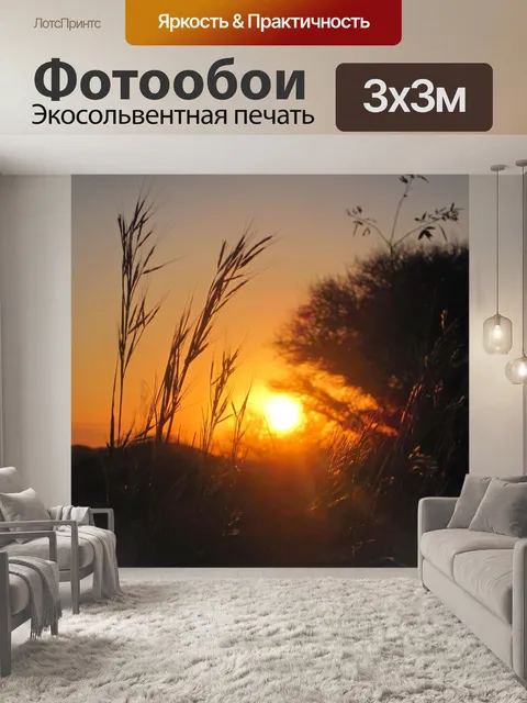 Фотообои пряди травы с заходящего солнца