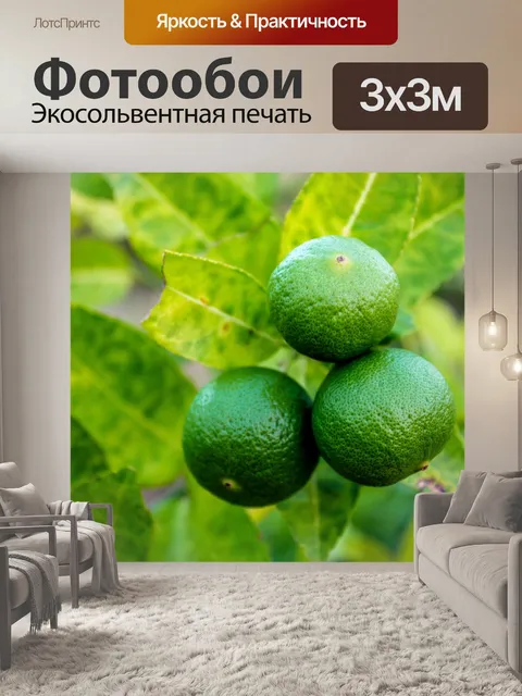 Фотообои Свежие лаймы на липе