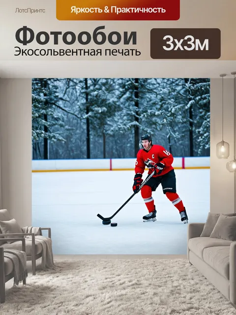 Фотообои хоккейный матч среди замёрзших деревьев, уединённая атмосфера, акцент на хоккейной шайбе, стиль минимализма